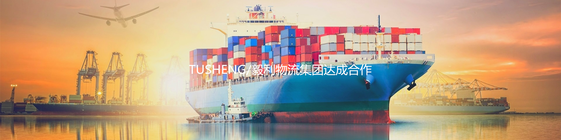 網站設計